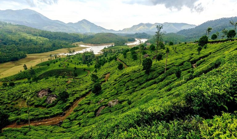 Book a Kerala Tour to indulge in the aroma of Spice Plantation - India ...