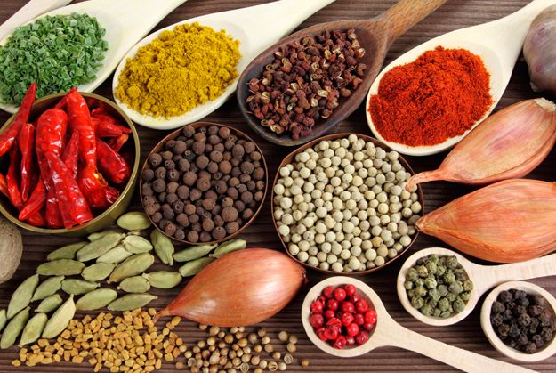India Culinary Tour – Visit the land of Spices