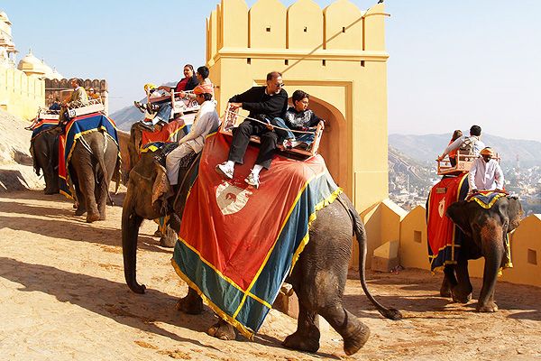elephant-ride-amber-fort