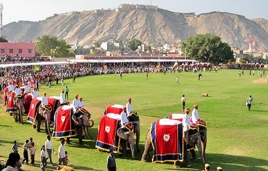 Elephant Festival in Rajasthan