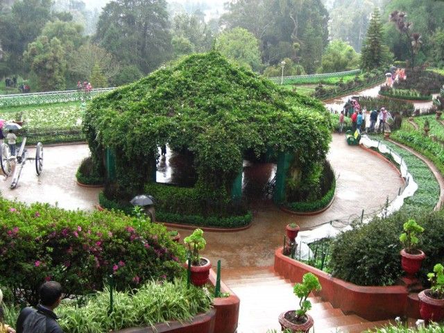 Spring at the Queen of Hills- Ooty