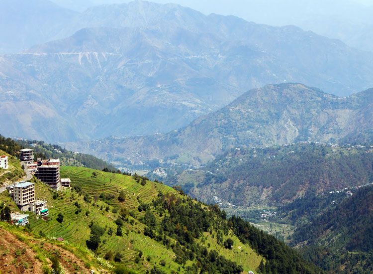 Bakrota Hills in Himachal Pradesh