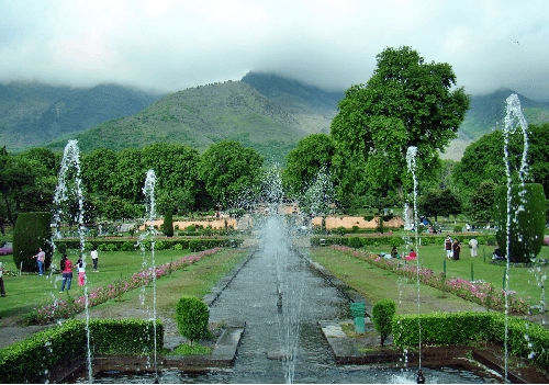 Gardens of Kashmir 
