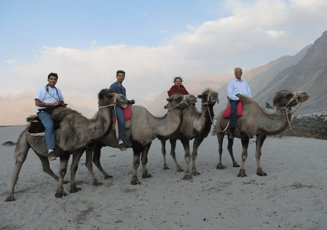 Camel safari in Ladakh