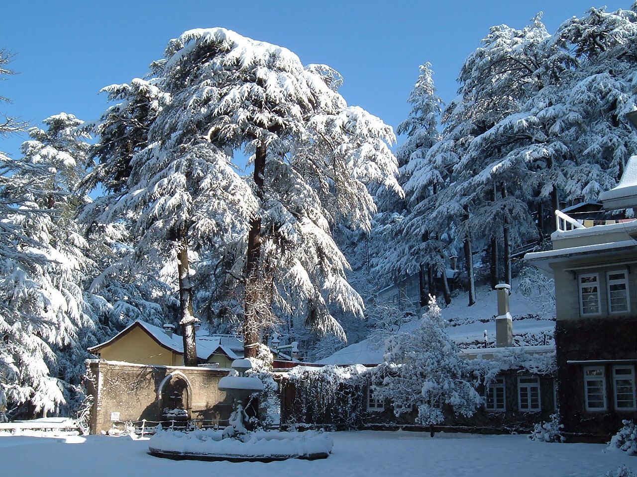 Mall Road, Shimla