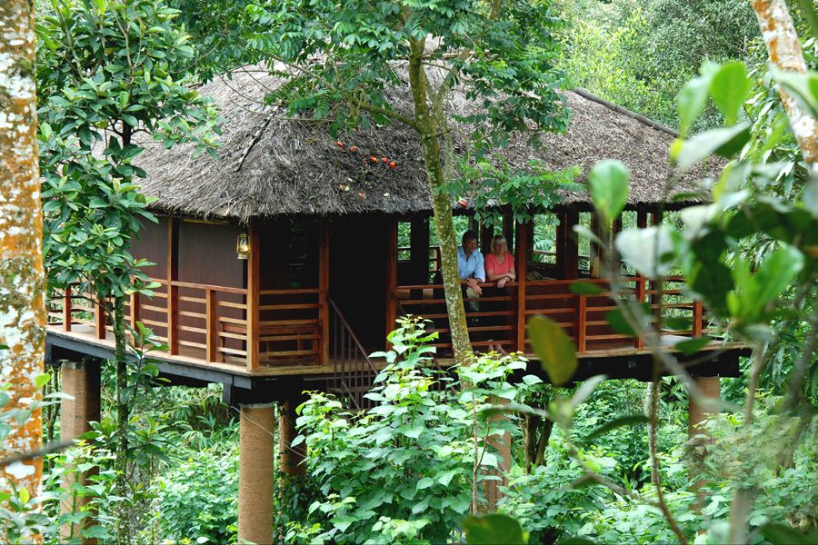 Vythiri Resort, Kerala