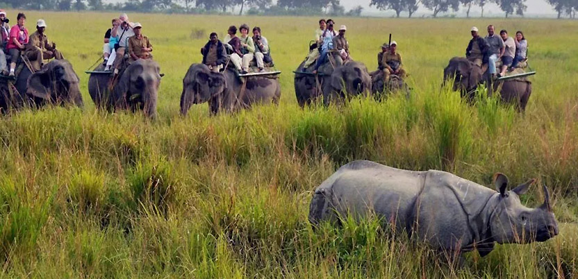 20 Top National Parks in India in 2023