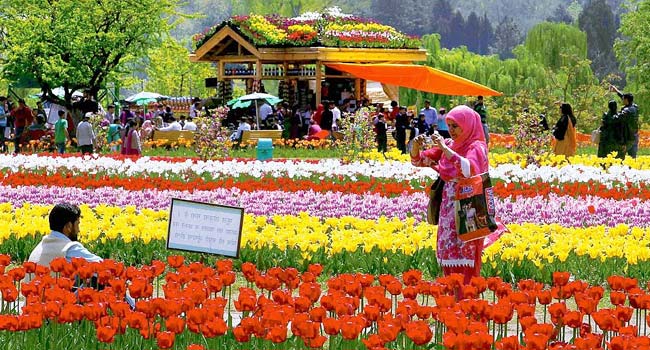 Gardens of Srinagar