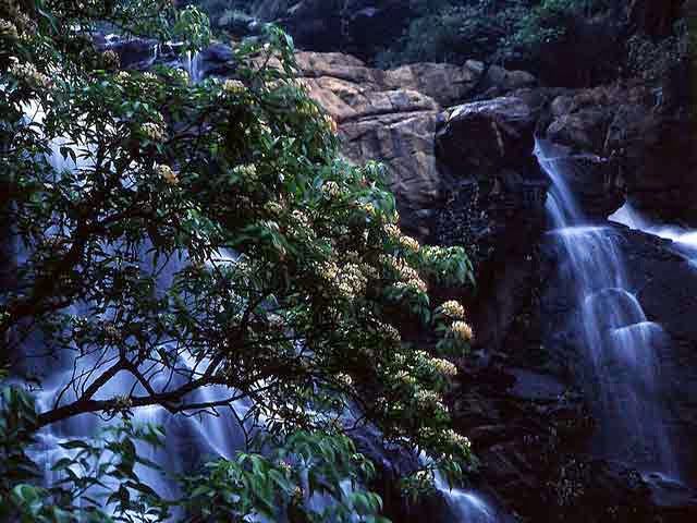 Meenmutty Falls, Kerala, India