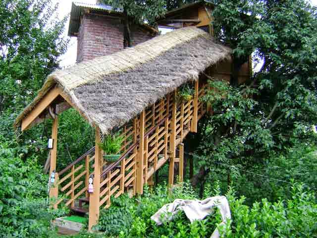Tree House Cottages, Manali