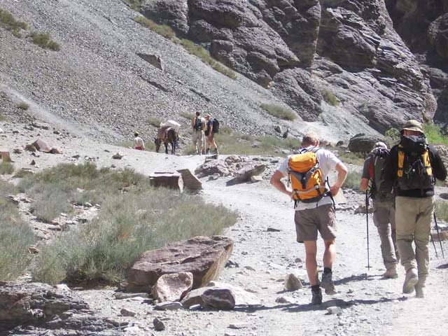 Trekking-in-Ladakh