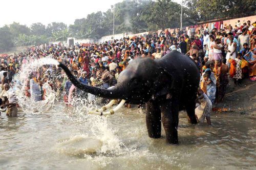 Sonepur Fair 