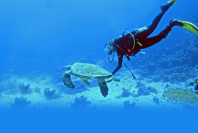 Snorkeling, Havelock Islands