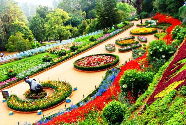 Ooty