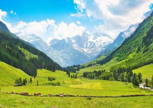 Best Places to Visit in Pahalgam | Things to do in Pahalgam