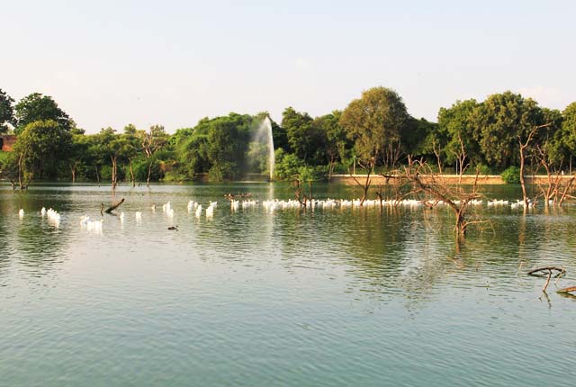 Sultanpur Lake, Gurgaon