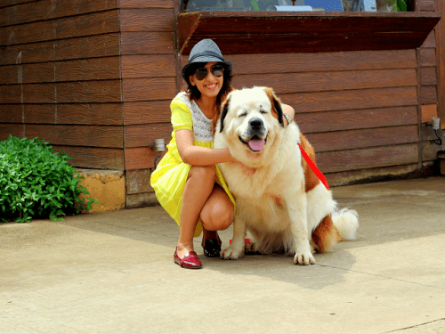 25-best-pet-friendly-hotels-in-india-india-travel-blog