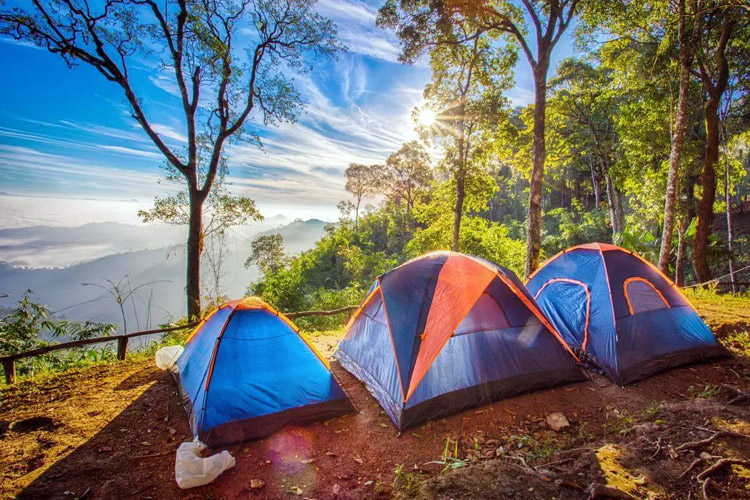 Camping in Jharipani, Uttarakhand