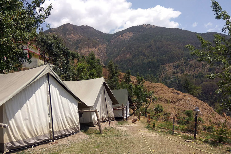 Camping in Pangot, Uttarakhand
