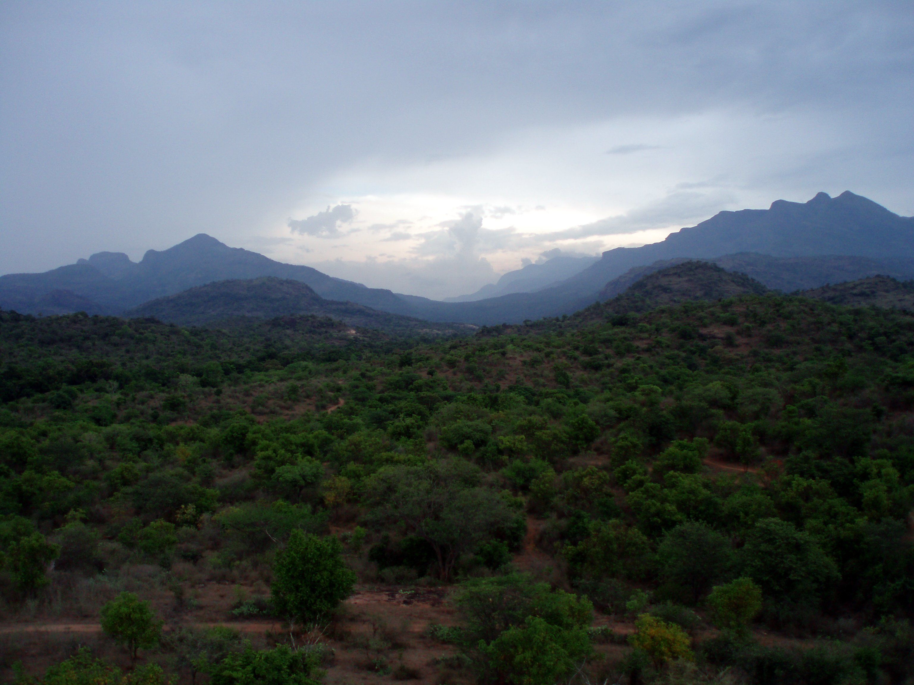 Anamalai hills Tamil Nadu