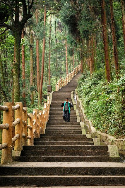 Mount Emei, China