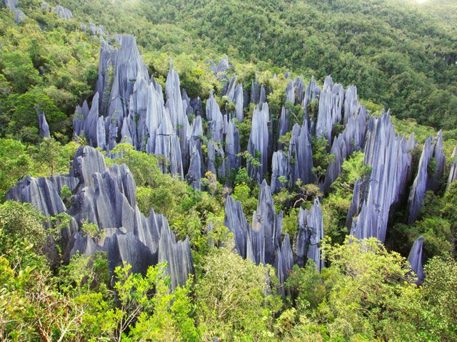 Gunung Mullu national park in Malaysia