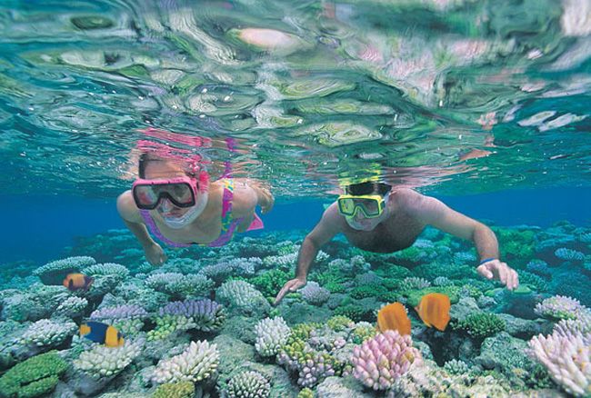 The Great Barrier Reef in Australia