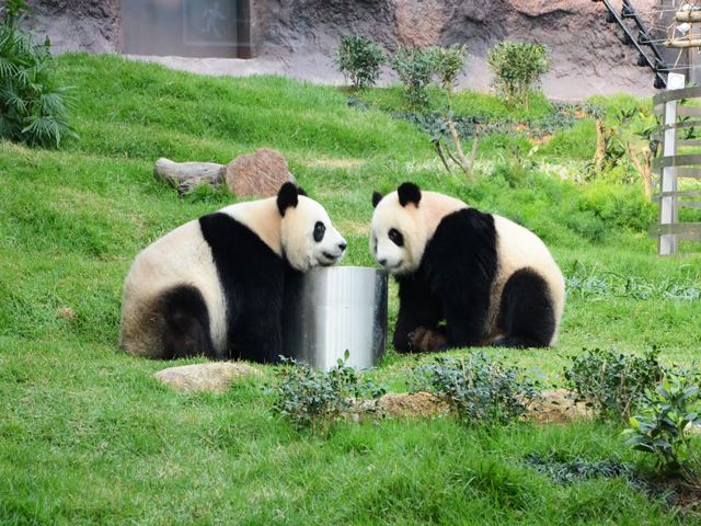 Panda Pavilion of Macau