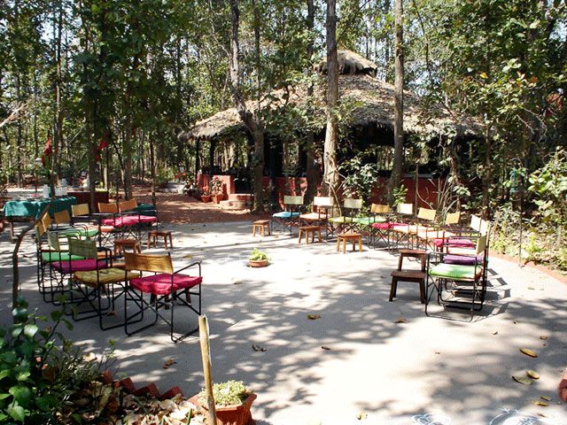 Bandhavgarh-Jungle-Lodge
