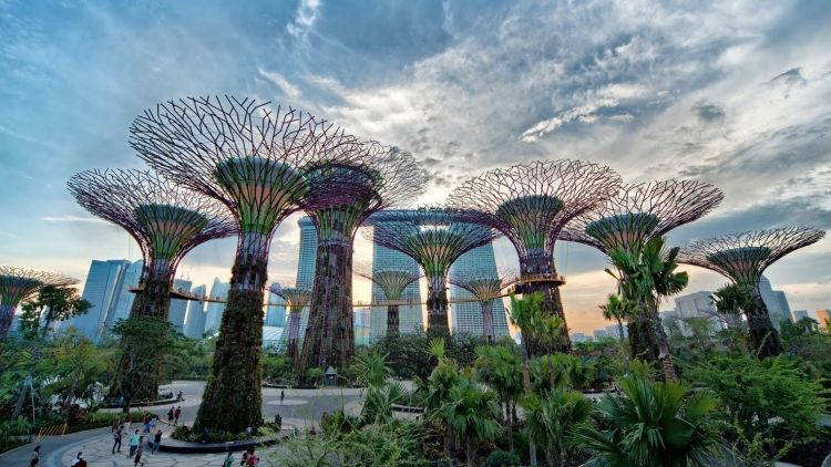 What are the free things to do in Singapore