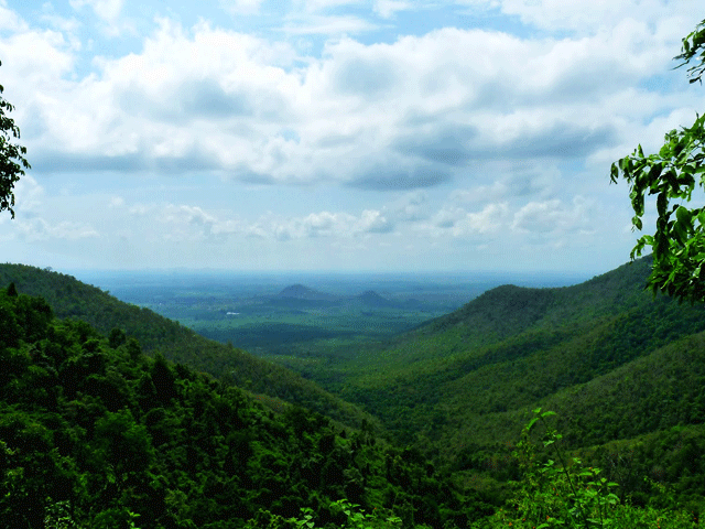 Biligiri Hills