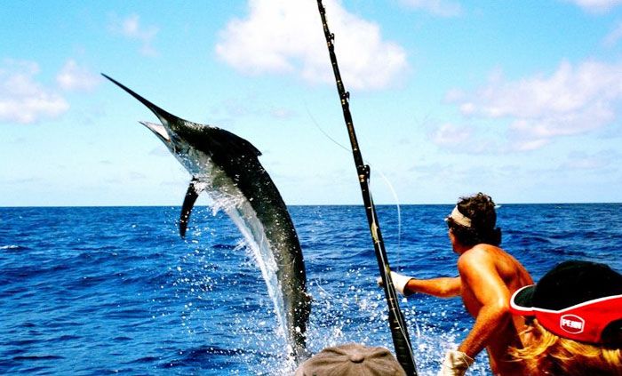 Sport-Fishing-or-Angling