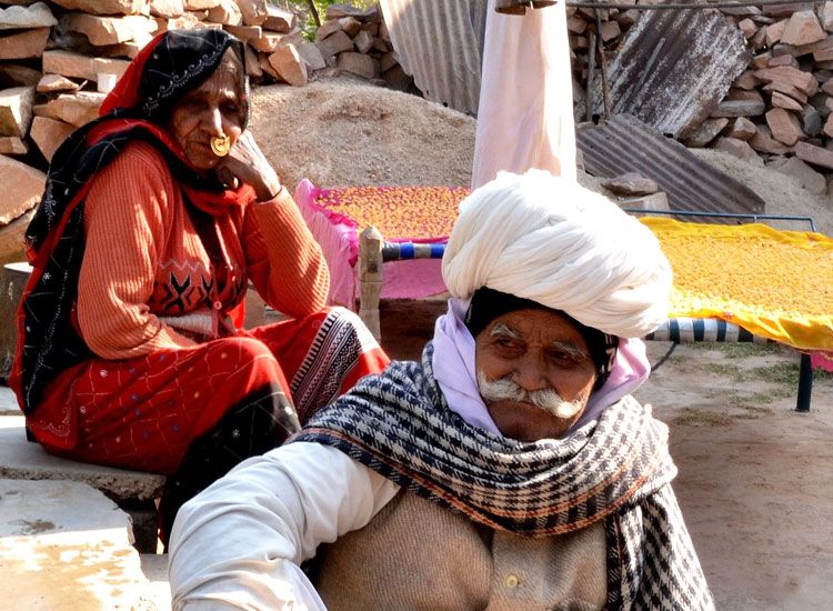 Culture of Bishnoi Village