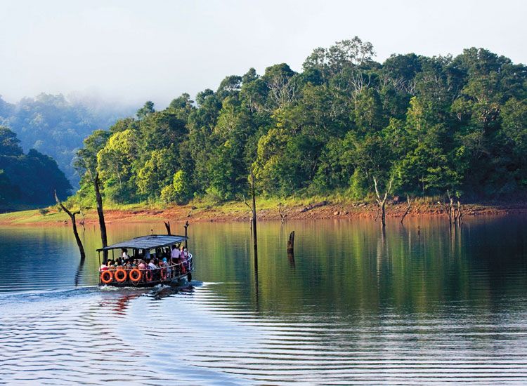How to Plan Periyar National Park Trip: A Complete Guide