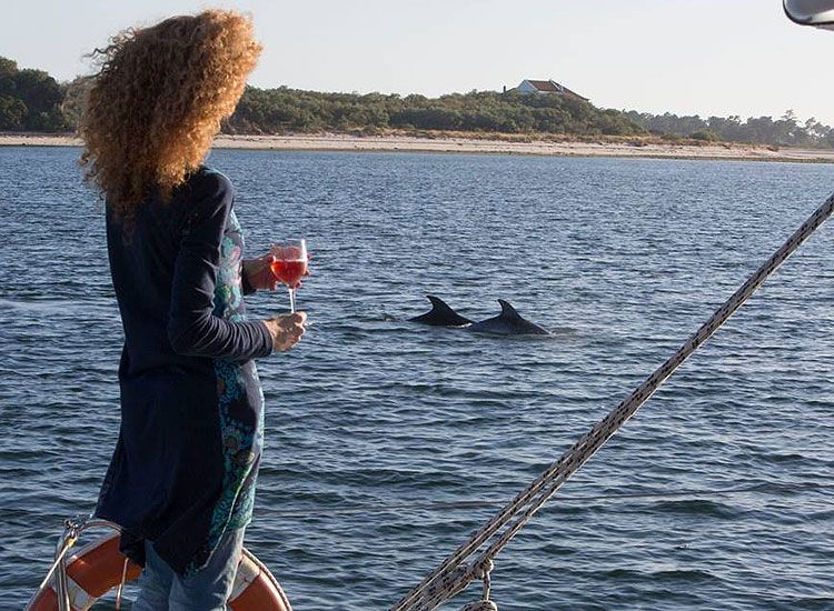 Dolphin watching in the Sado estuary