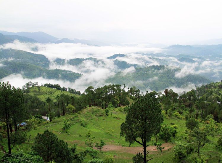 Kanatal in  Uttarakhand
