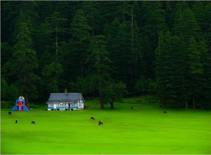 Top 15 Reasons To Plan A Holiday In Himachal Pradesh