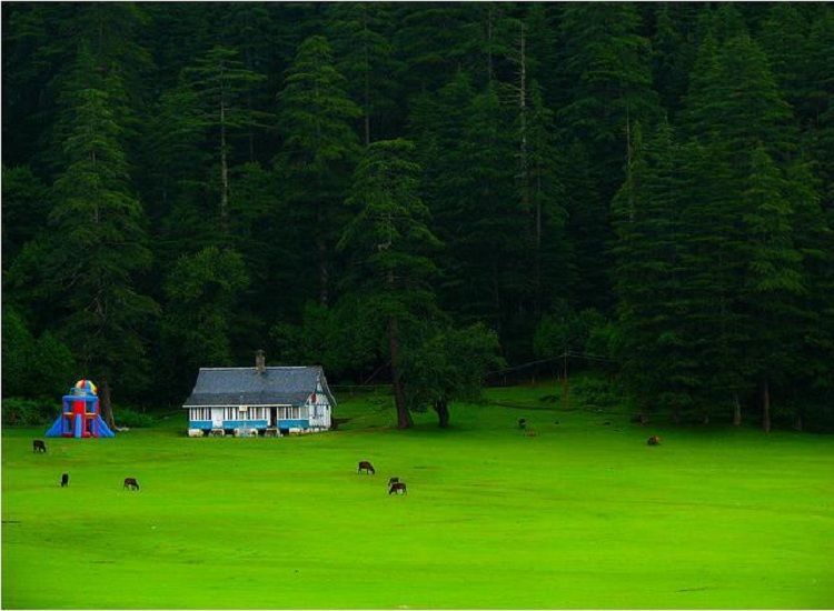 21 Best Hill Stations in India for Summer Holidays