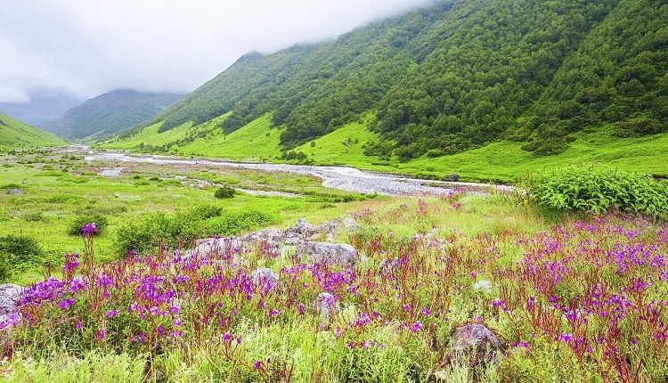 Valley of Flowers, Uttarakhand: Offbeat Destinations in India