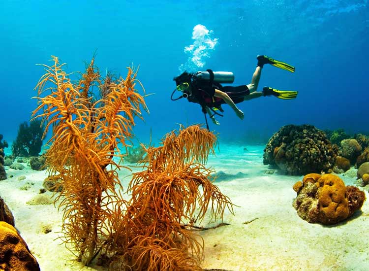 Scuba Diving in Karnataka