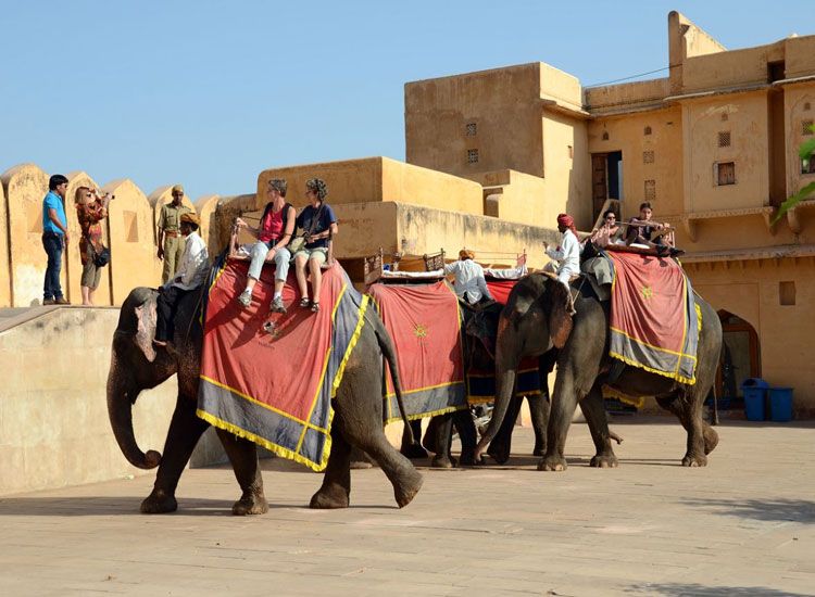 Amer fort is located in a hill so you have an option to hire elephant for ride from base to hill. It is a unique experiance in itself.