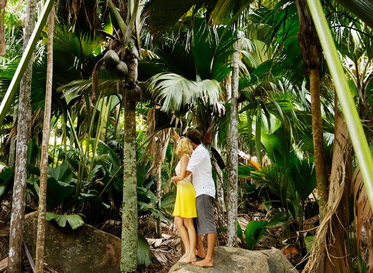 Seychelles Honeymoon Guide: Create Cherished Memories