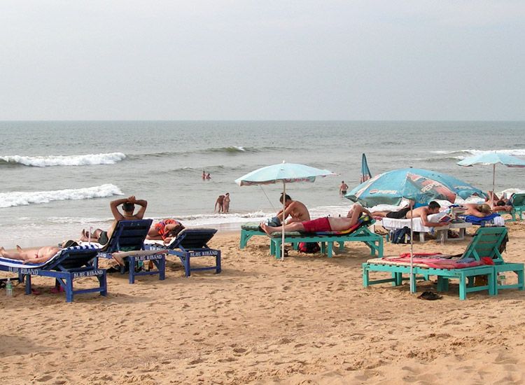 9 Best Things to do in Goa in Winter for a Fun Vacation