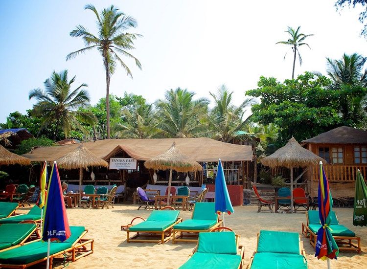 Top Beach Shacks in Goa That You Must Visit