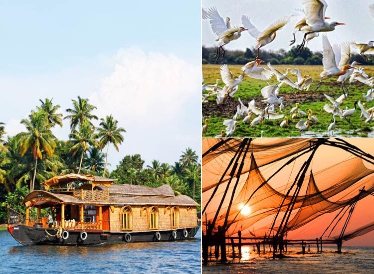 Backwaters of Kerala Tour Circuit