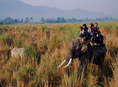 UNESCO World Heritage National Parks & Sanctuaries in India