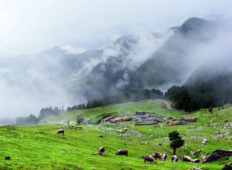 chopta valley