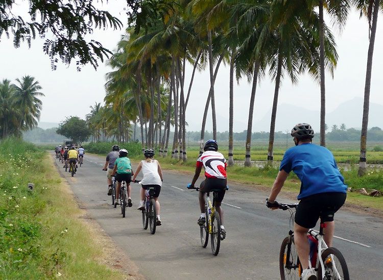 hindriks bicycle tours