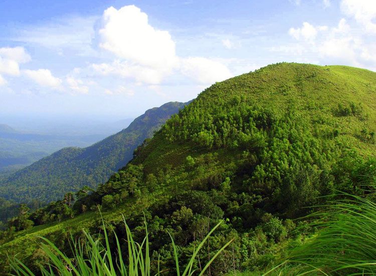 10 Most Beautiful Hill Stations in South India for Honeymoon