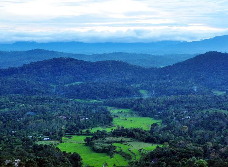 10 Most Beautiful Hill Stations in South India for Honeymoon